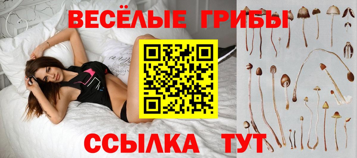 Псилоцибиновые грибы Magic Shrooms  Псилоцибиновые грибы Psilocybe  Жуковский  Вход с VPN 